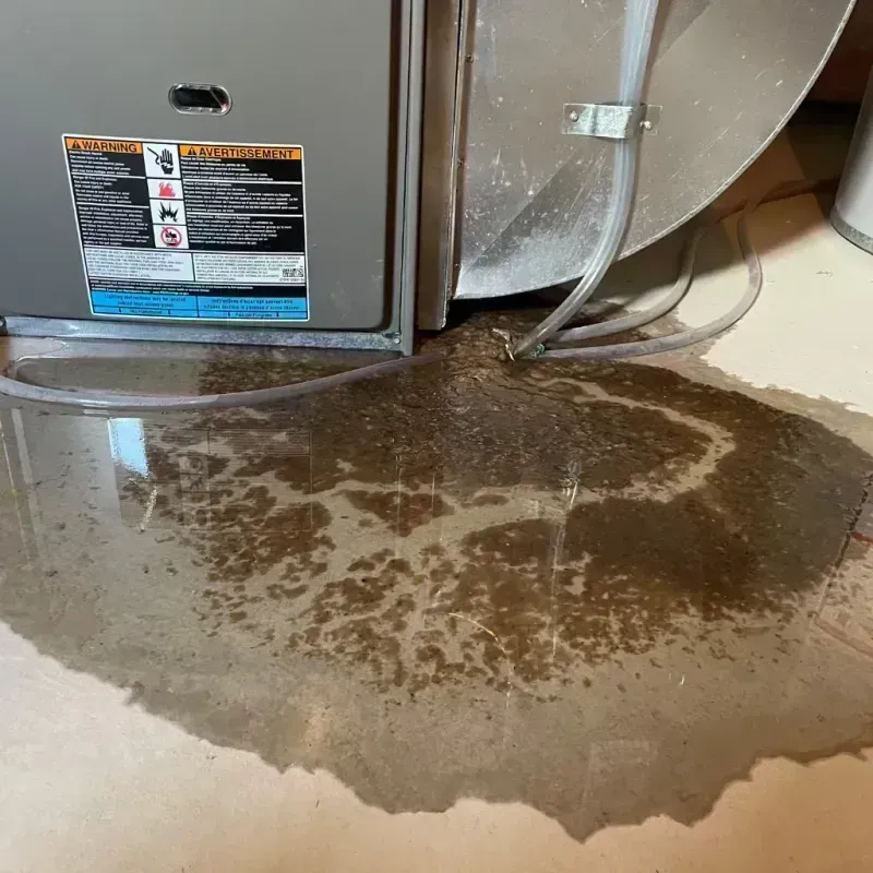 Appliance Leak Cleanup in Livingston County, KY